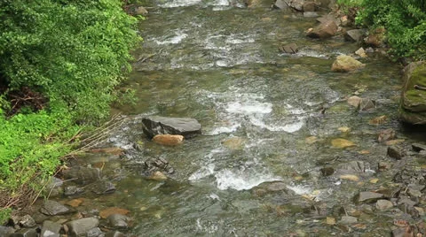 Forest stream Stock Footage 25463733
