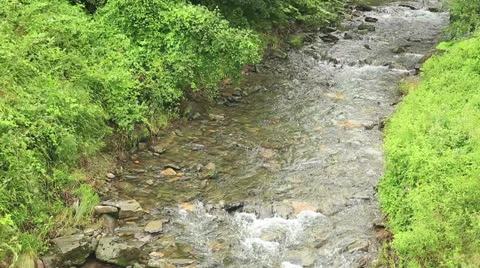 Forest stream Stock Footage 25465514
