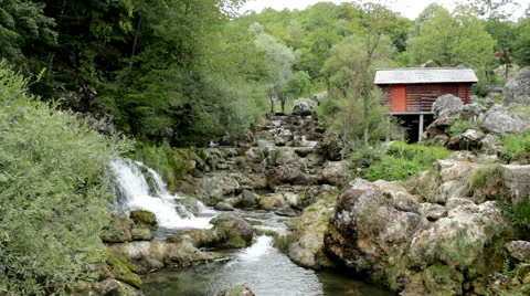 Forest stream Stock Footage 26187646