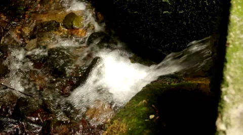 Forest Stream Stock Footage 37325708