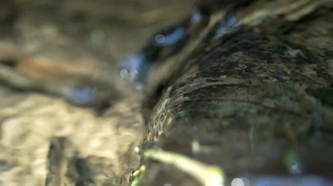 Forest stream 库存影片 38706817