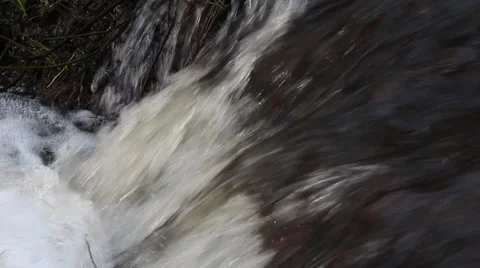 Forest Stream Video stock 51227608