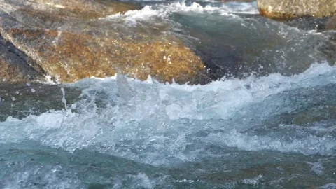 Forest Stream Vidéo 78248681