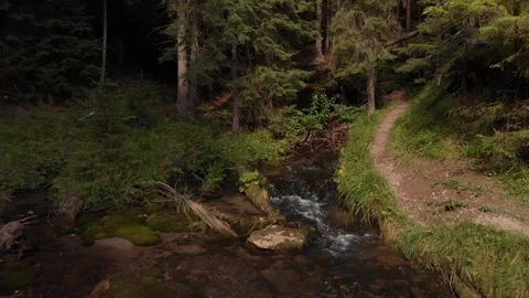 Forest stream Stock Footage