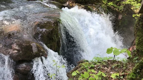 Forest stream Stock Footage 109232223