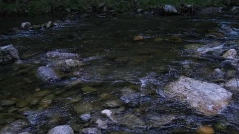 Forest stream Stock Footage 136214141