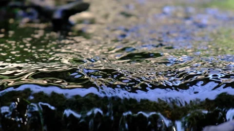 Forest stream Stock Footage 137038520