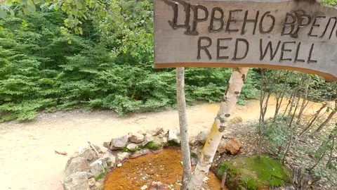 Forest stream Stock Footage 139887922