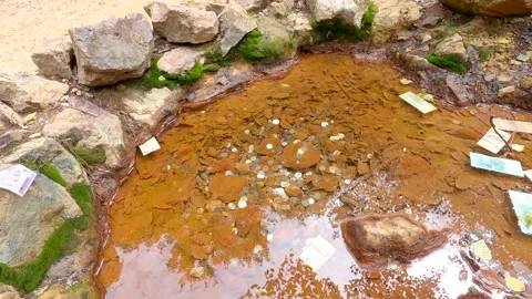 Forest stream Stock Footage 139888053