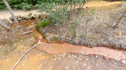 Forest stream Stock Footage 139888113