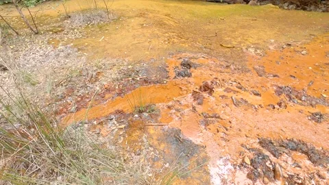 Forest stream Stock Footage 139888150