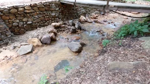 Forest stream Stock Footage 139888230