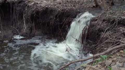 Forest stream. Stock Footage 154494240