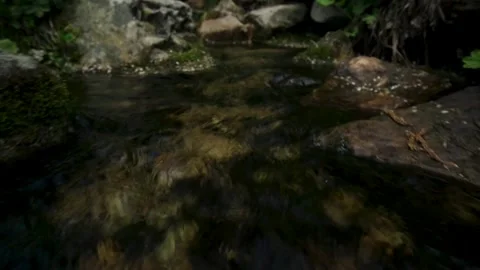 Forest stream Stock Footage 154985005