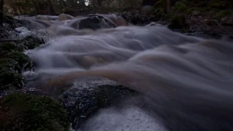 Forest stream Stock Footage 263827959