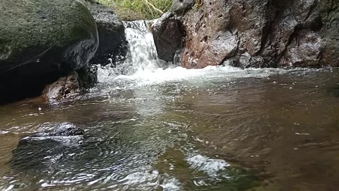 Forest Stream with Gentle Water Flow and Natural Rock Formation Stock Footage 330582536