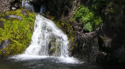 Forest Stream in Iceland Stock Footage 12423008