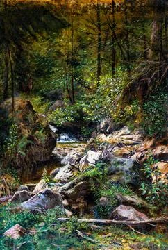 Forest stream.. Illustrazione stock