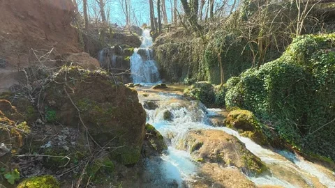 Forest Stream Leading to Distant Waterfall – Slow Upward Pan Vidéo 330676954