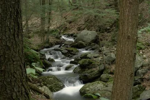 Forest stream long exposure Stock Photos
