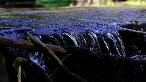 Forest stream in the morning Stock Footage 138622511