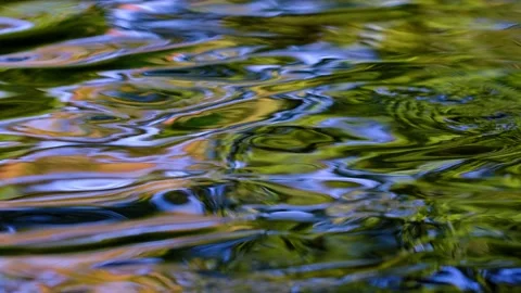 Forest stream in the morning Stock Footage 139055020