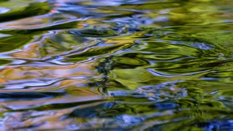 Forest stream in the morning Stock Footage 139055031