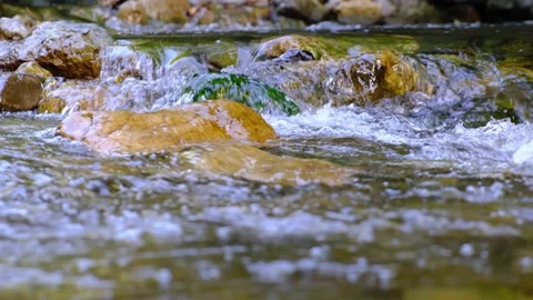 Forest stream in the morning Stock Footage 139769312