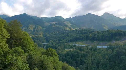 Forest stream in the mountains. Russia, Sochi. 1280x720 Video stock 52946952