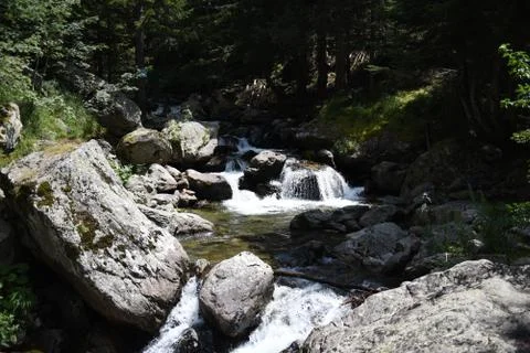 Forest stream Stock Photos