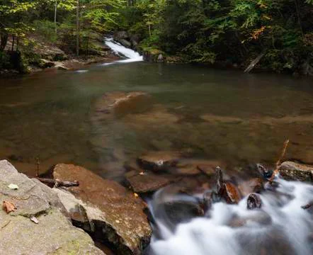 Forest stream with Pool Stock Photos