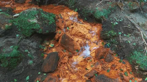 A forest stream with a red-orange water Vídeos de archivo 131015301