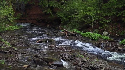 Forest Stream with Rocks, and Nature Scene. Stock Footage 306286603