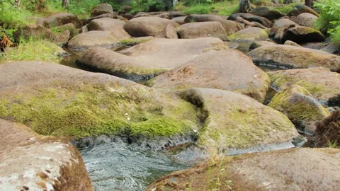 Forest stream running between large stones Video stock 138567025