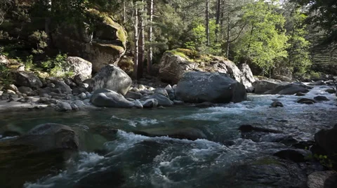 Forest stream running over mossy rocks Stock Footage 39465674