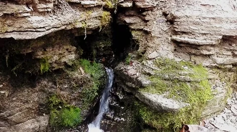 Forest stream running over mossy rocks Stock Footage 56527196