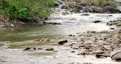 Forest stream running over mossy rocks Stock-Footage 89401974