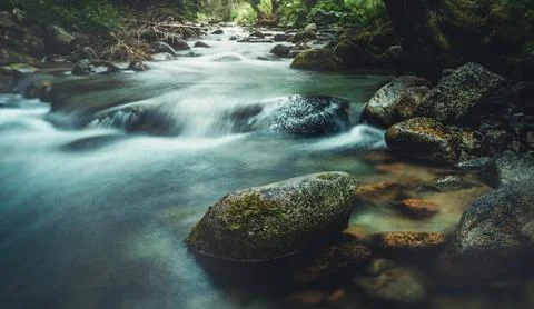 Forest stream running over mossy rocks. Long exposure. Foto stock