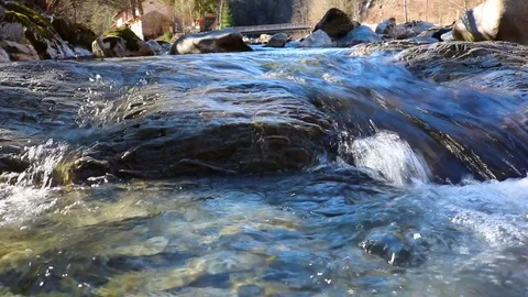 Forest stream running over  rocks . Alpine Stream. Stock Footage 73480117