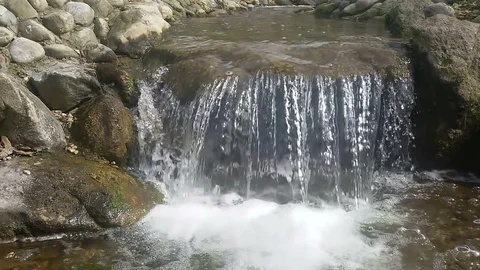 Forest stream running over rocks Stock Footage 88234483