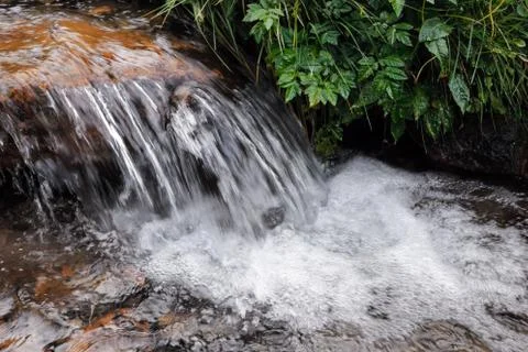 Forest stream running over rocks Stock Photos