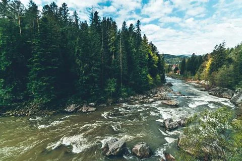 Forest stream running over rocks, a small waterfall. Sunny day, summer. River Stock Photos
