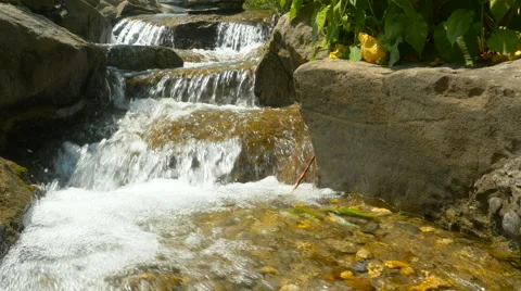 Forest stream running throught the stones Stock Footage 63581206