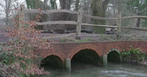 Forest Stream Running Under Bridge Winter Stock Footage 262154178