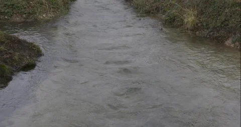 Forest Stream Running Winter Stock Footage 262154217