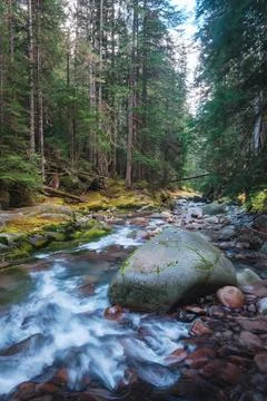 Forest stream scenery in Mount Rainier National Park, Washington State, USA Stock Photos