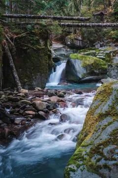 Forest stream scenery in Mount Rainier National Park, Washington State, USA Stock Photos