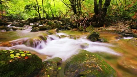 Forest stream - slow motion Stock Footage 14192570