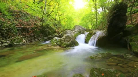 Forest stream - slow motion Stock Footage 14280528