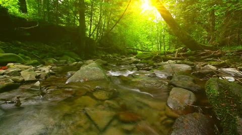 Forest stream - slow motion. three clips. Stock Footage 38098007